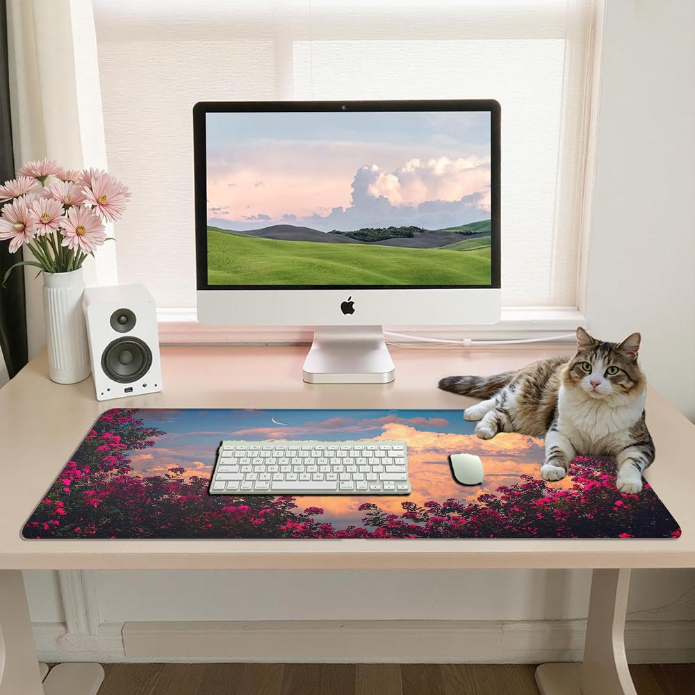 柔らかく夢のような風景   両側に咲く鮮やかなピンクの花の茂 - Gaming Accessories For Gaming Desk のレビューと価格